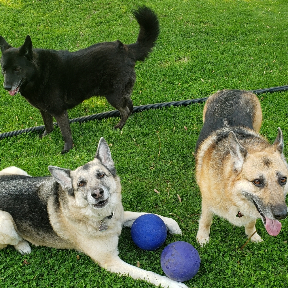 Meet your Posher, Julie